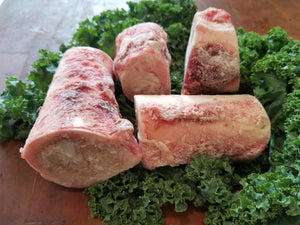 Treats - Beef Femur Bone 6"-9" Cut